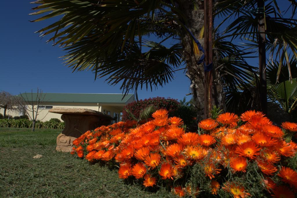 Milawa Muscat Retreat B&B 외부 사진